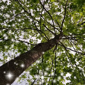 Meet your Posher, Freda